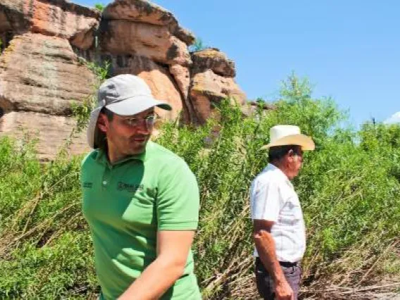 sonoran